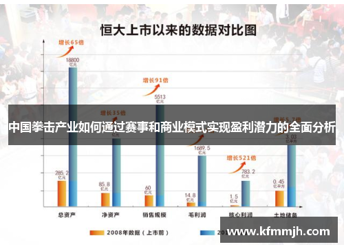 中国拳击产业如何通过赛事和商业模式实现盈利潜力的全面分析